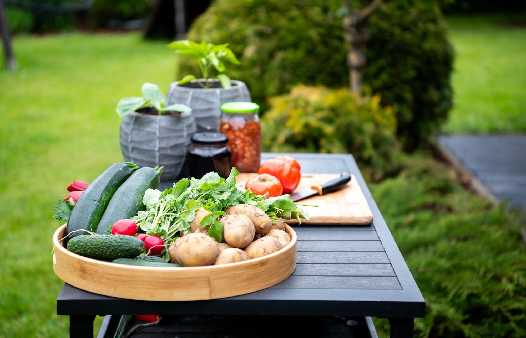 LAHE AED I Hooaja lõpus annab isegi maasikas teist saaki