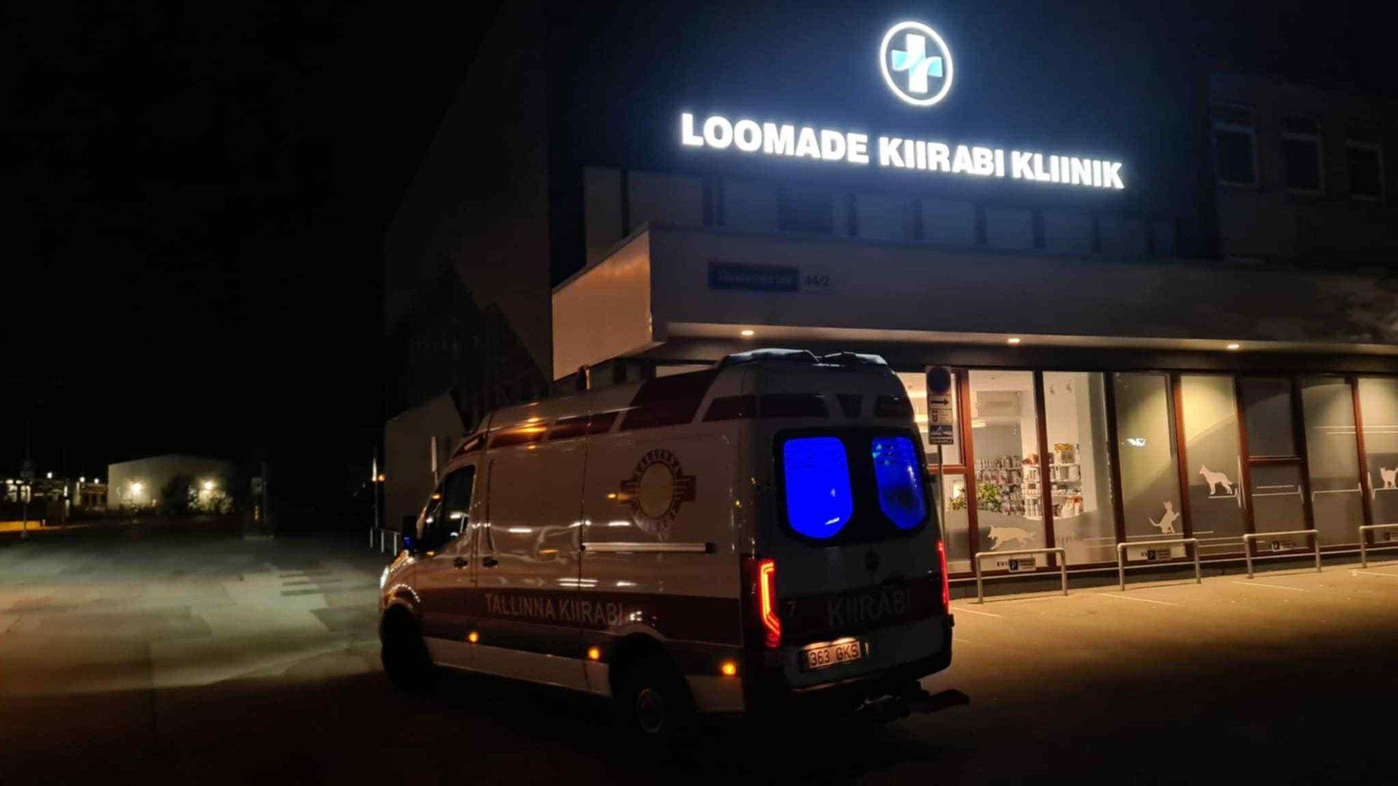 Kassi ohtlik aknal turnimine nõudis Tallinnas nii loomade kui inimeste kiirabi sekkumist