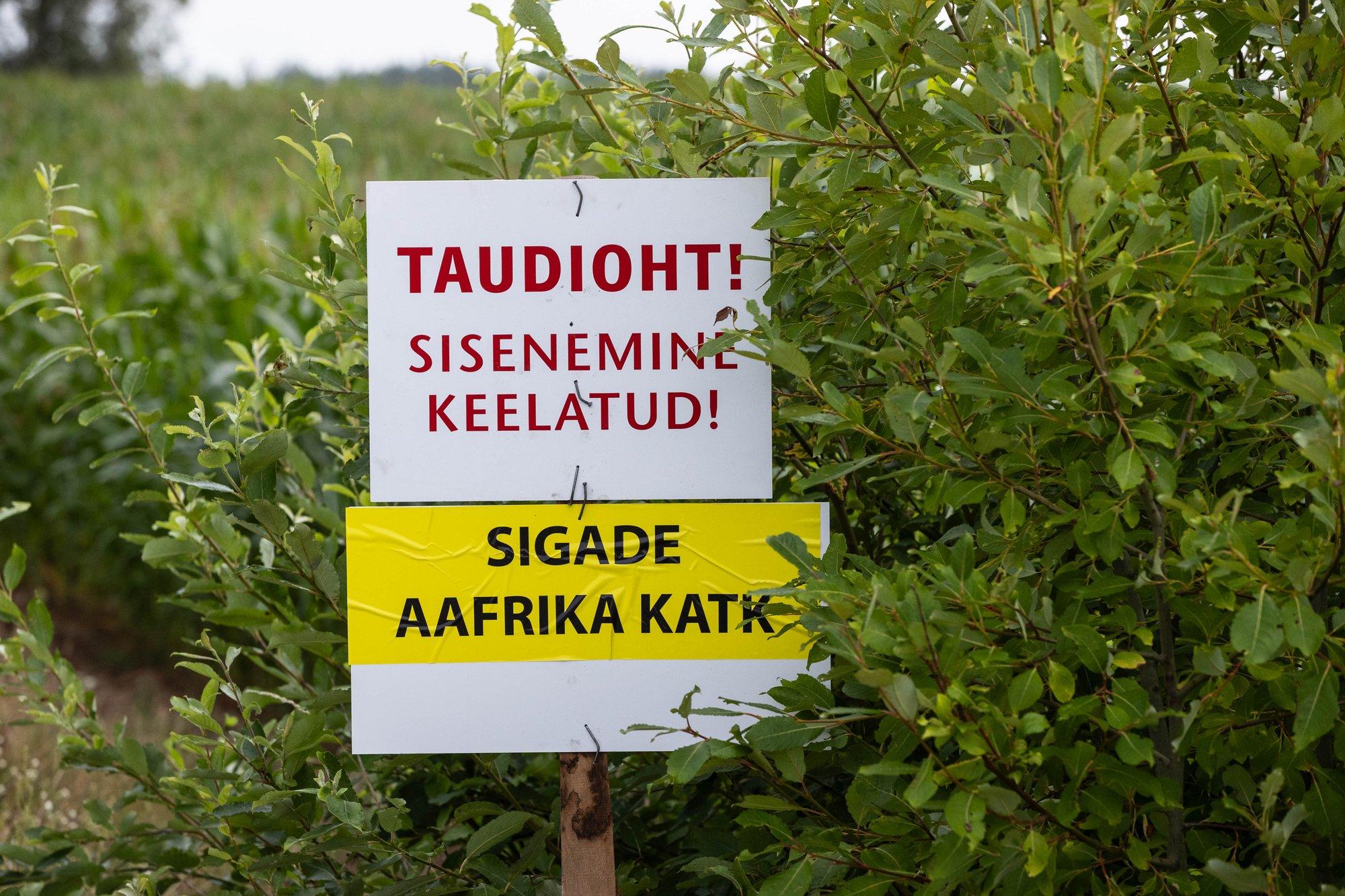 Eesti lihatööstused on katku leviku tõttu mures. Meie toidujulgeolek veel ohus ei ole