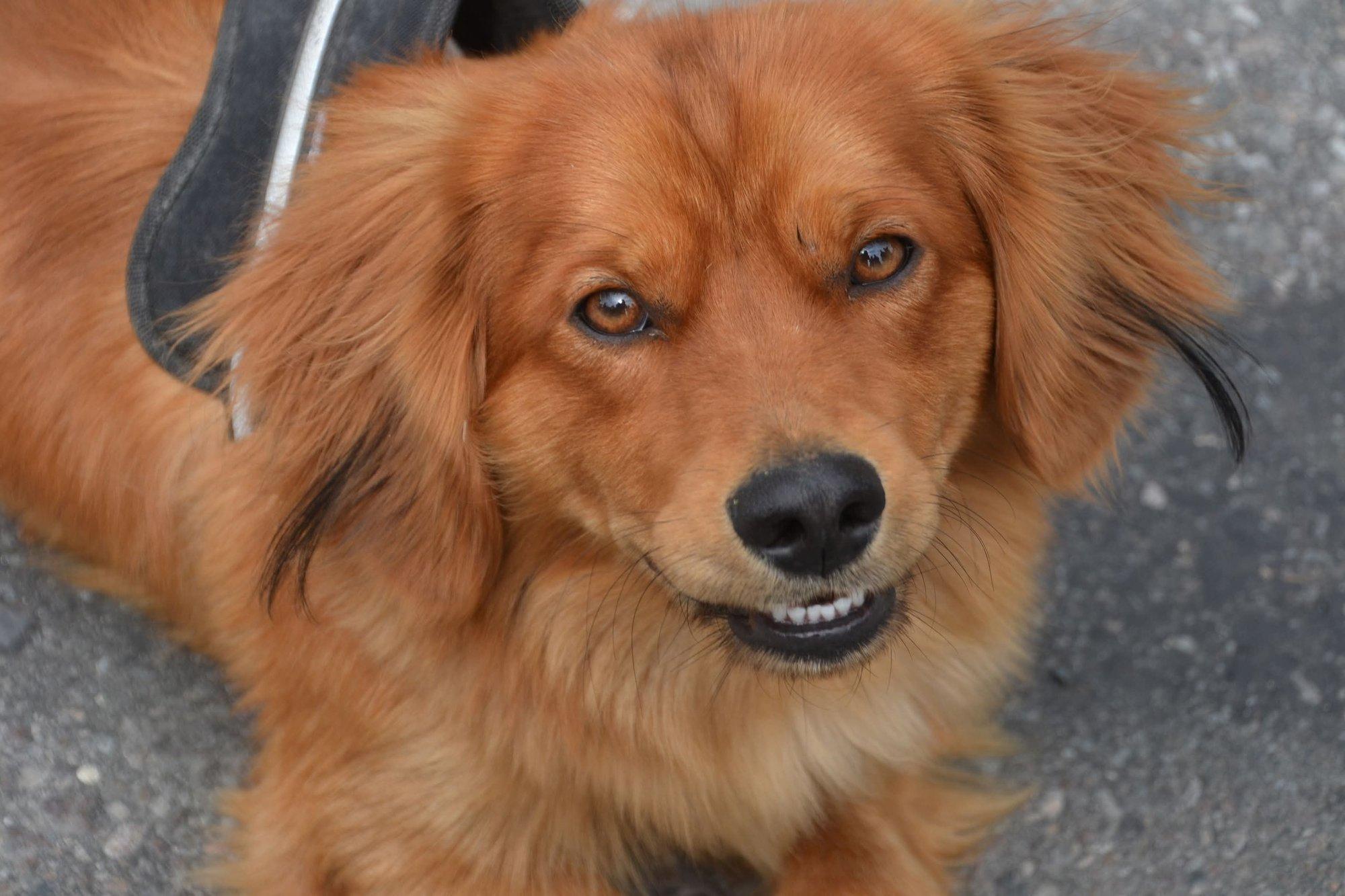 Üllatusmuna Kärbes-Jaak – tähtis persoon, kes sõidab ATVga ja hoiab kogu külal silma peal