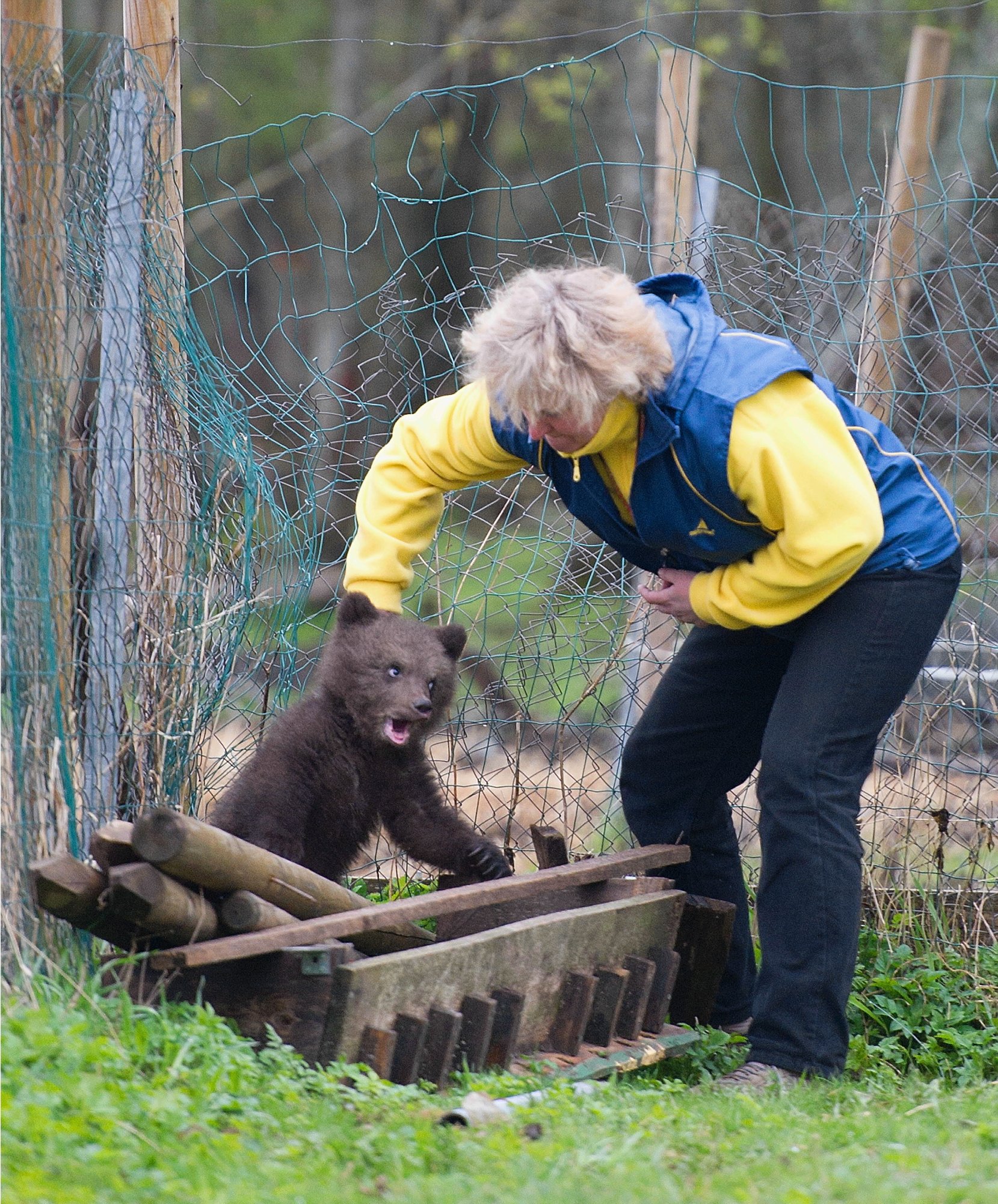 „Mõni loom naeratas justkui koolilõpualbumis!“ Miks Pärnumaal ulukeid abistanud keskus töö lõpetas?