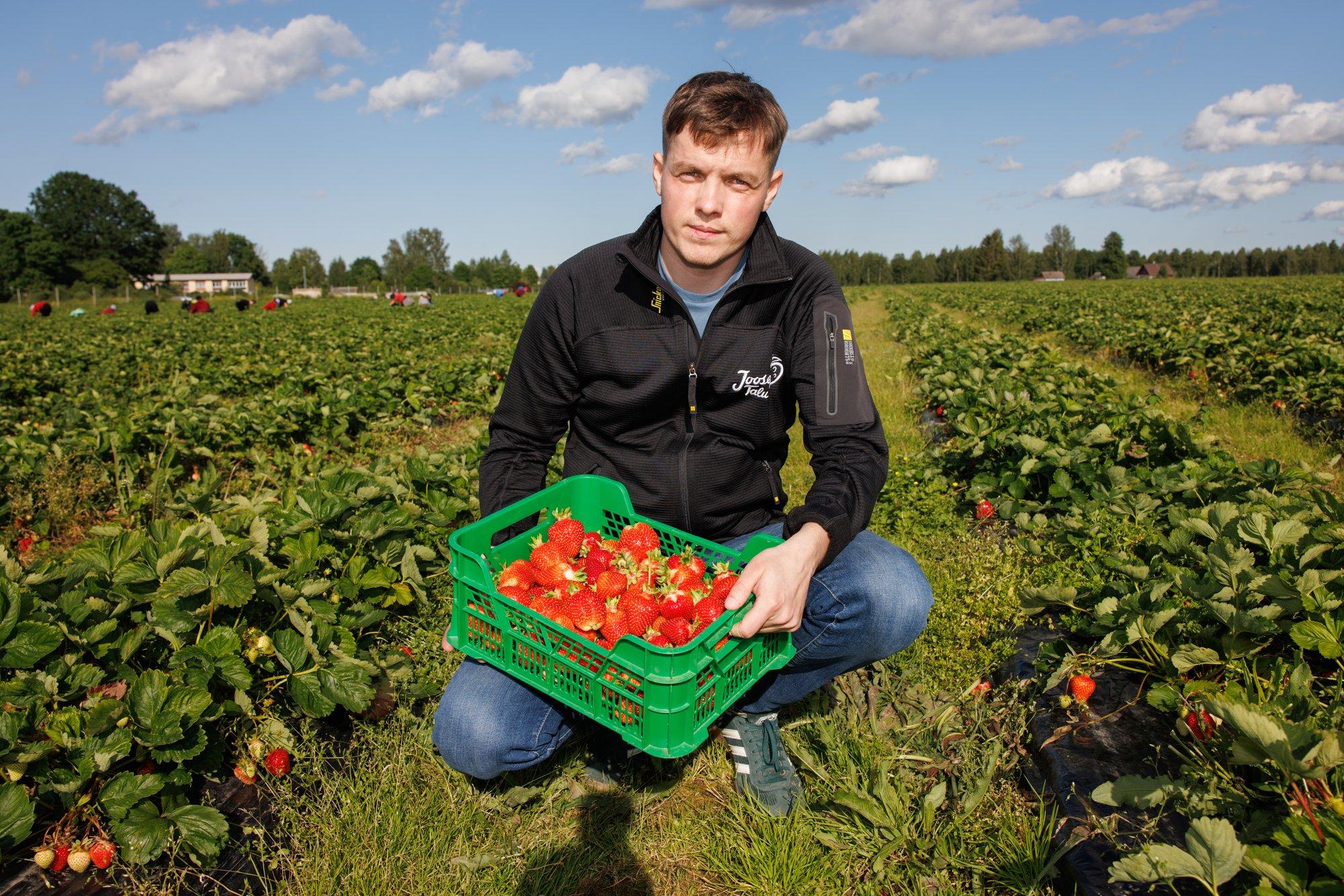 Rahvapõllumees 2025 on maasikakasvataja Ranet Roositalu