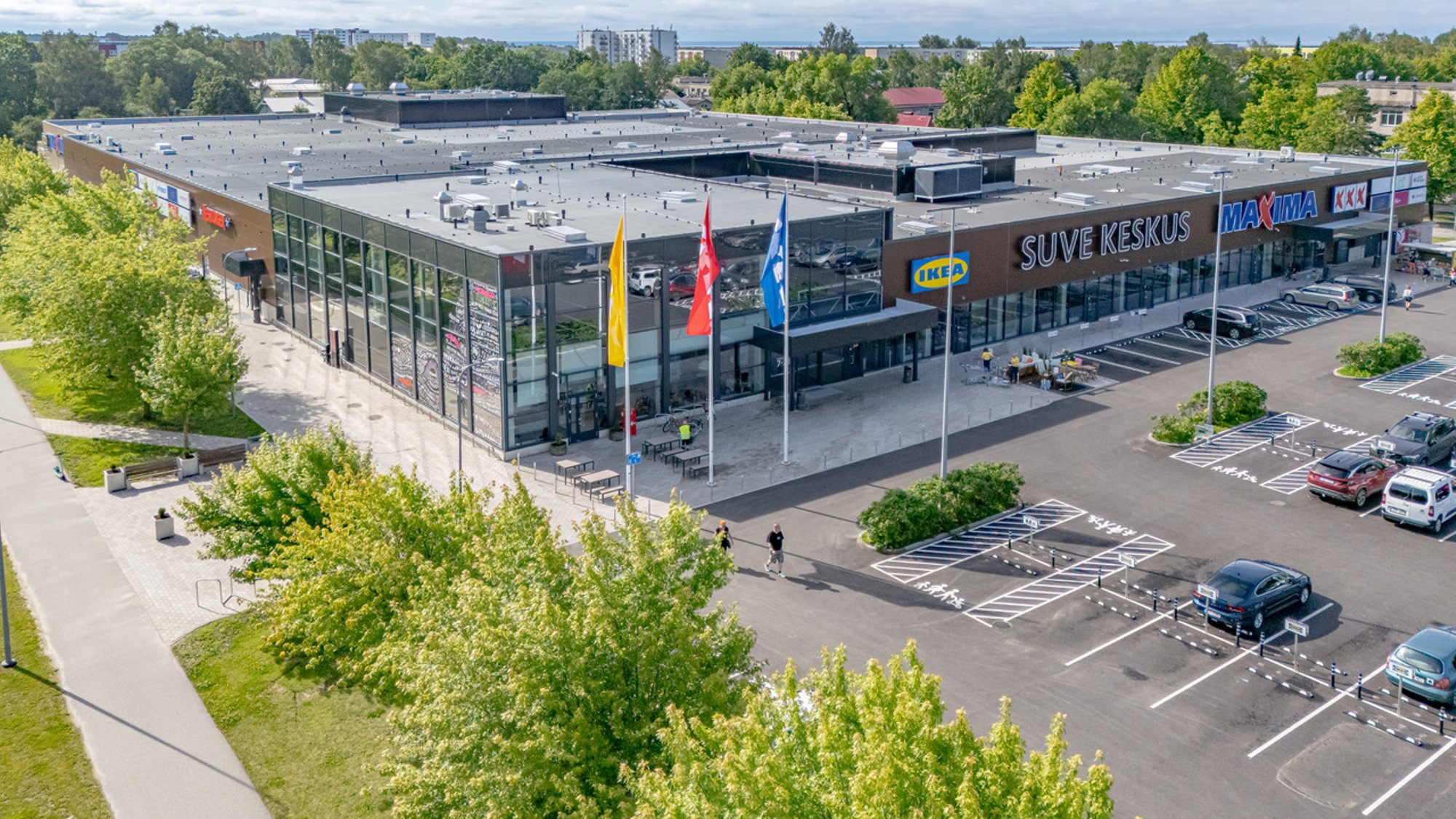 Poola odavkett jätkab Eestis jõulist laienemist. Uued poed avatakse Tallinnas ja Pärnus