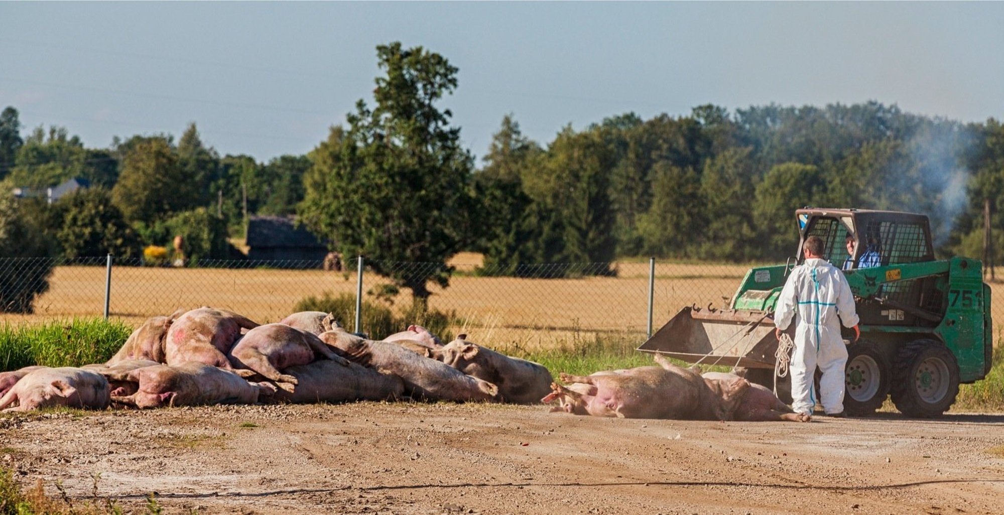 PTA spetsialist: sigade matmine pole üldsegi veel otsustatud. Seda tehakse viimases hädas ja väga kontrollitult