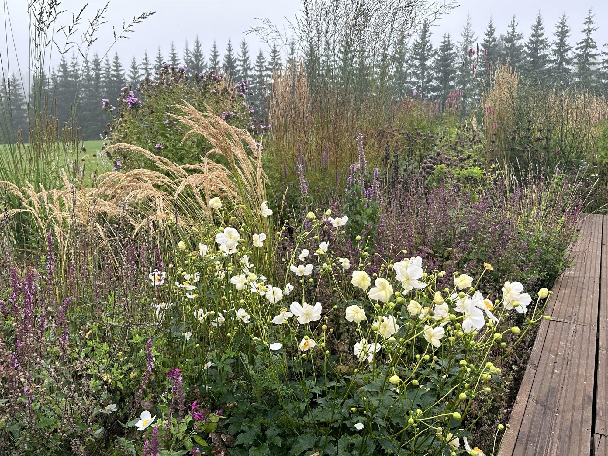 Maria Palusalu peenraidee, mis hoiab sügisel vormi ja värvi