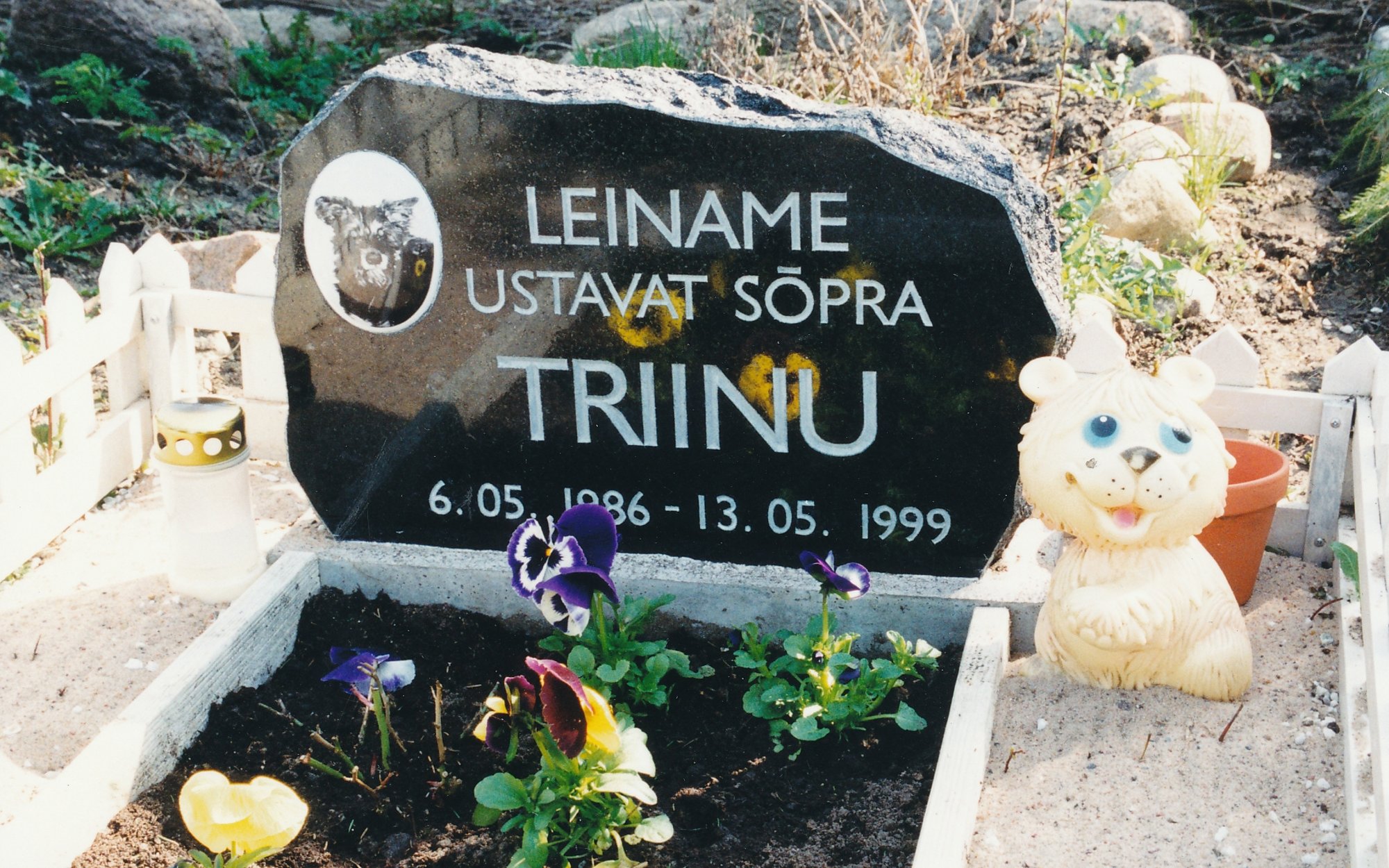 Ehe, mälestuskarp või portree: kuidas lahkunud lemmiklooma väärikalt mälestada?