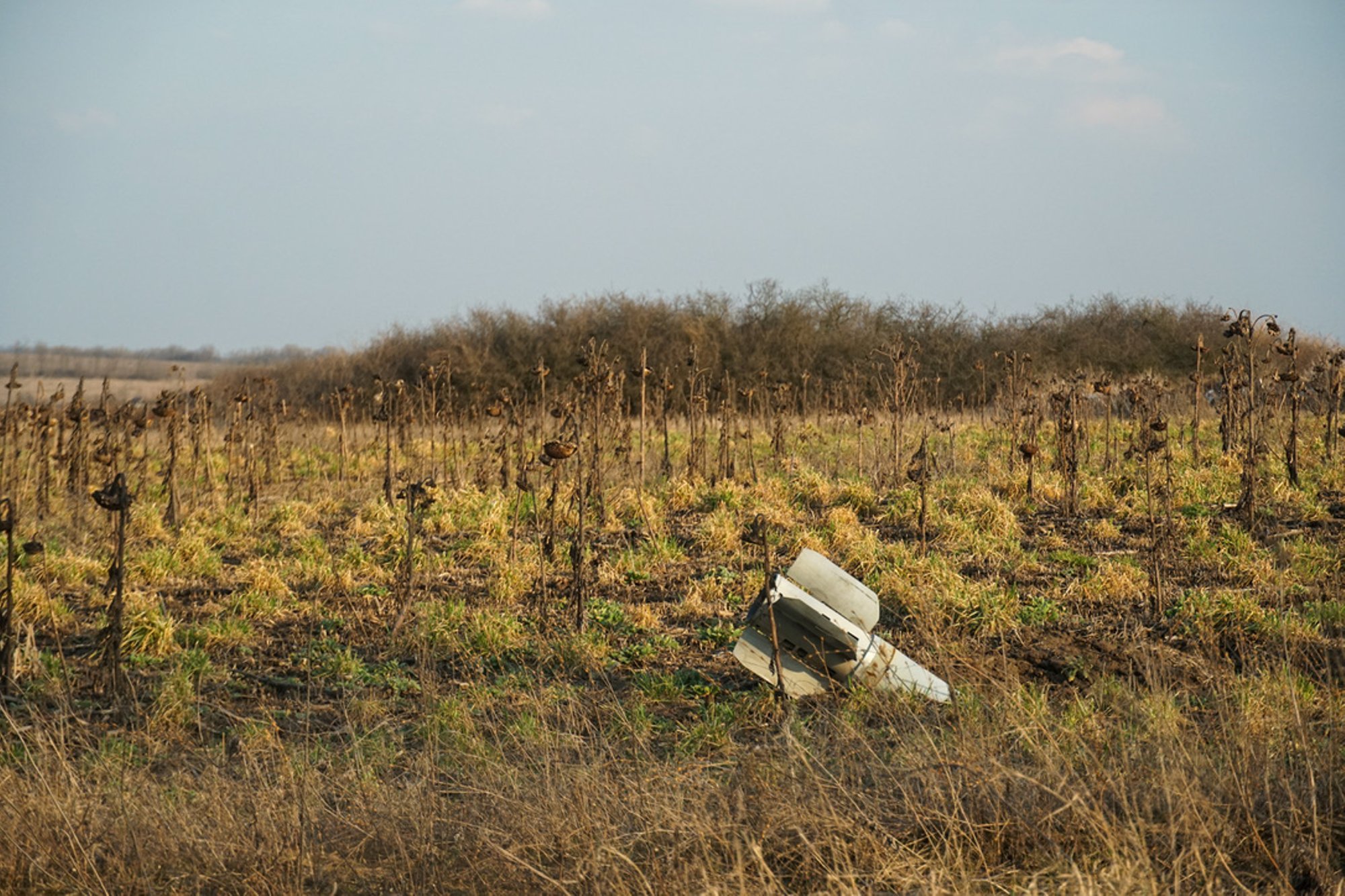Eesti aitab muuta Ukraina põllumajandust kestlikumaks