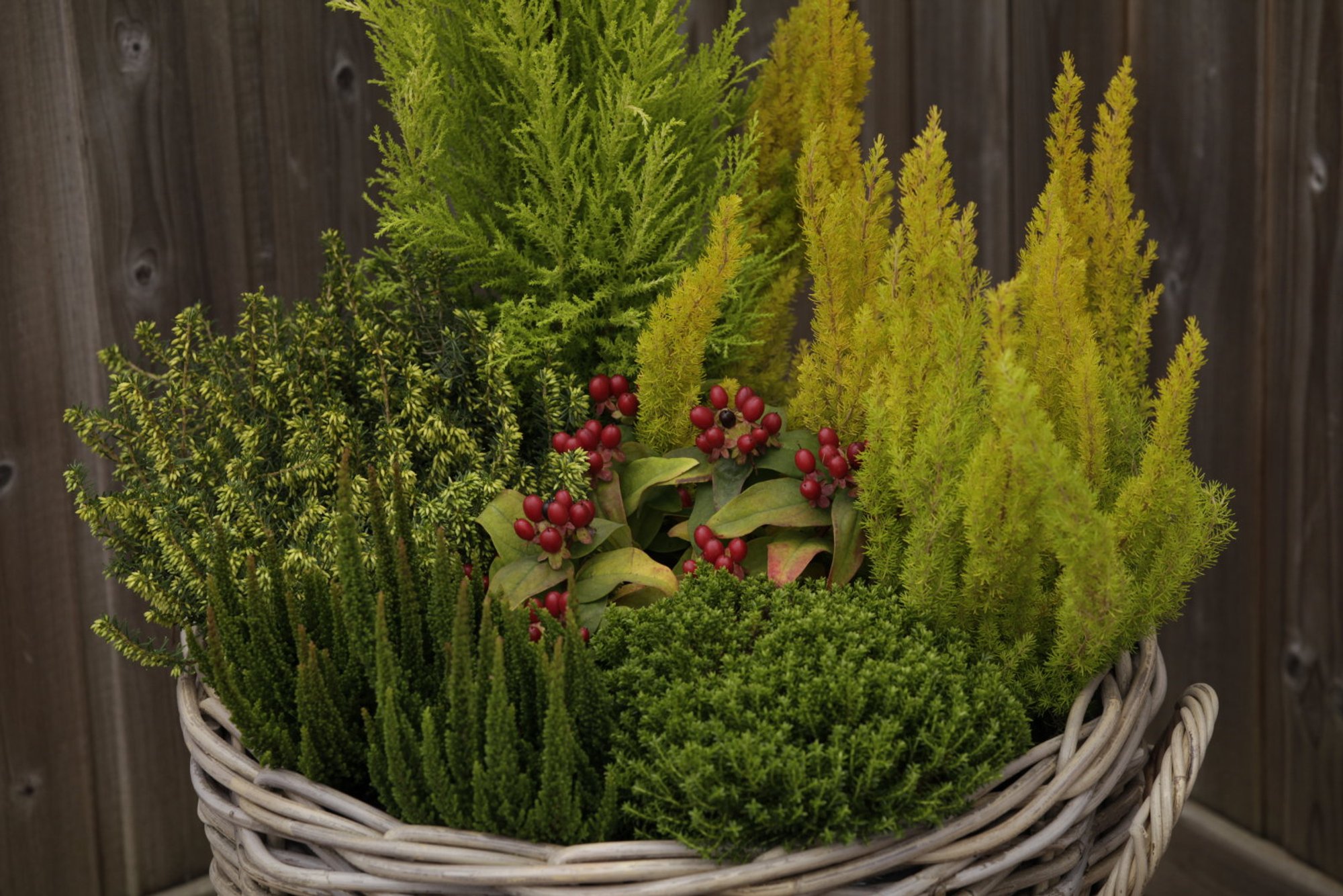 Ammuta ideid! Viis kaunist lilleseadet sügisesele terrassile või rõdule