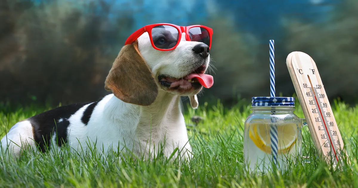 ILM ⟩ Täna tuleb kuni 26 kraadi sooja