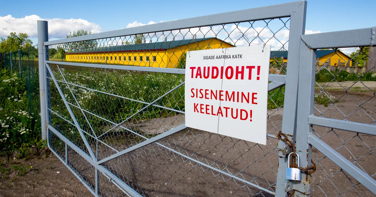 SEAKATK ⟩ Nakatunud sigalate läga võib välja vedada vaid PTA kirjaliku loaga