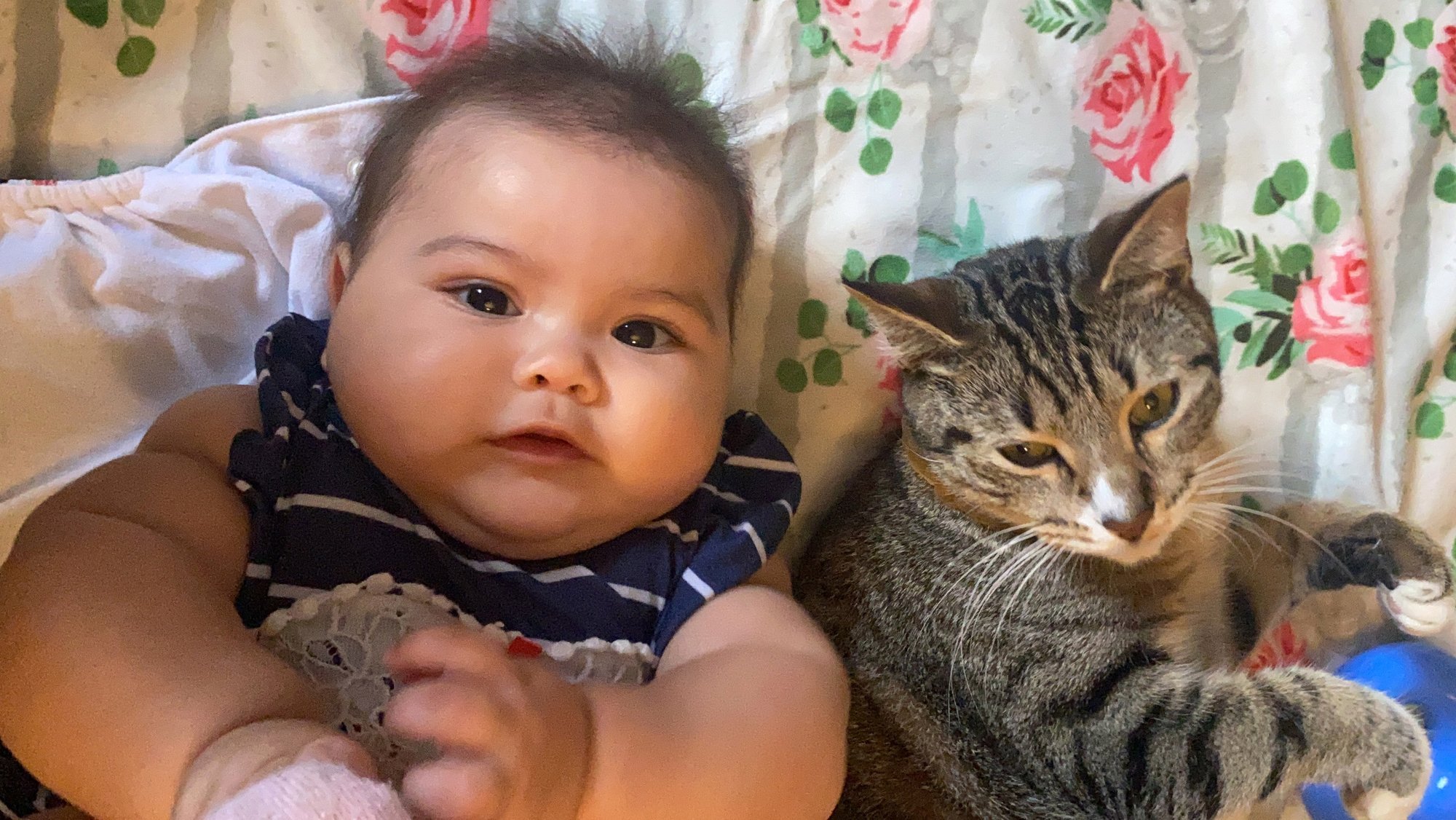 Mis siis, kui nad ei lepigi? 7 nippi aitamaks kassi kohaneda perre sündiva beebiga