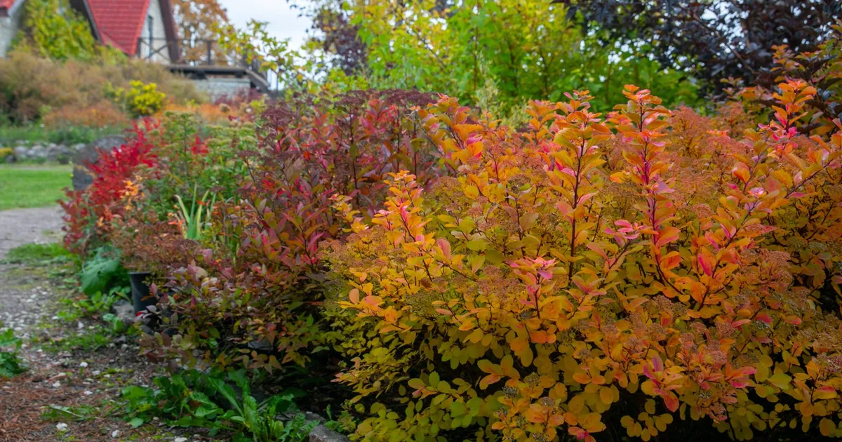 Lähipäevil tuleb sooja kuni 21 kraadi