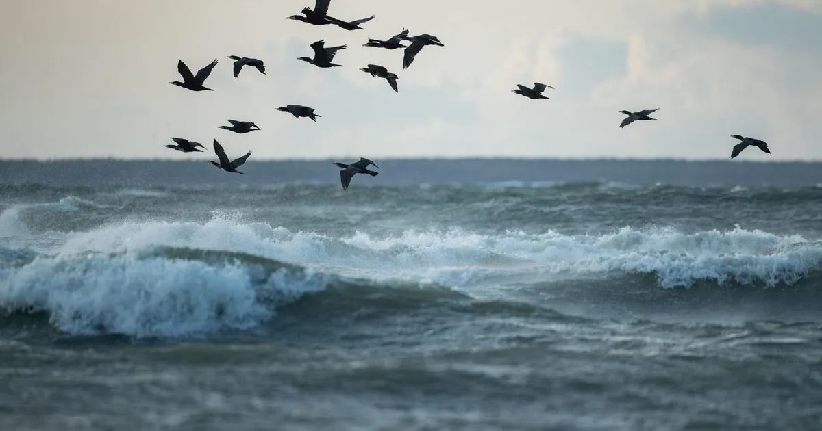 Osa merealast sai tugeva tuule hoiatuse