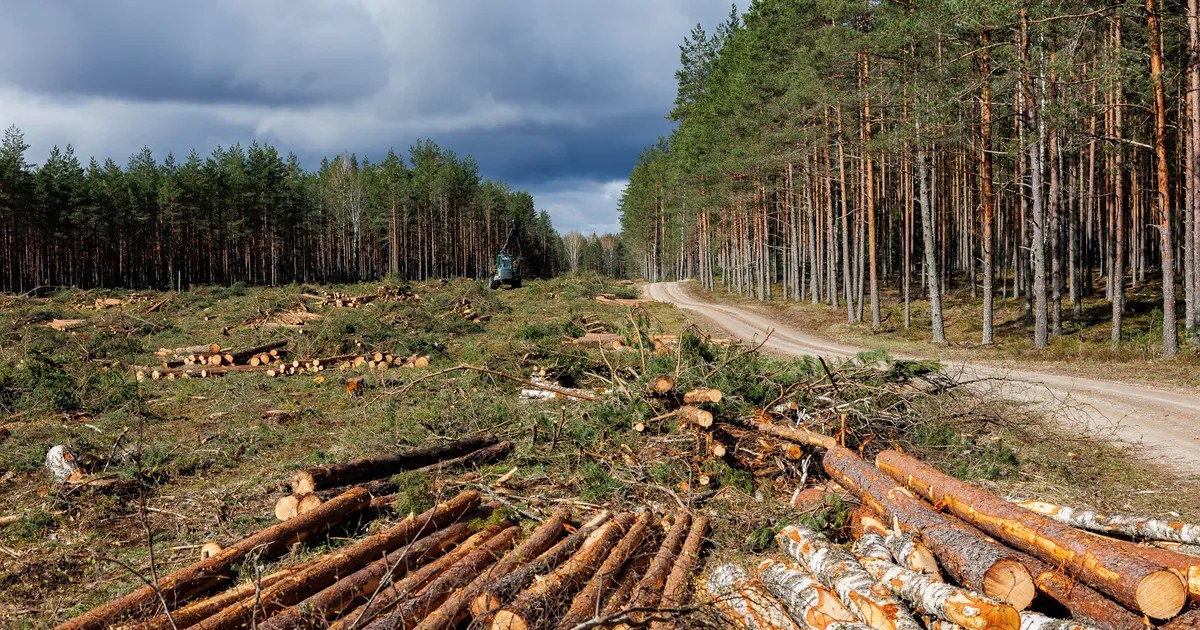 Riik kaebab Nursipalu kohtuotsuse edasi