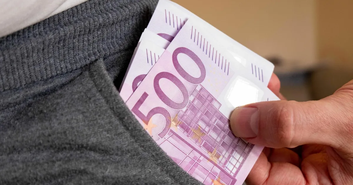 ENE KALLAS ⟩ Kooliraha ehk kuidas püüdsin tagatisrahast kõrvale hiilida