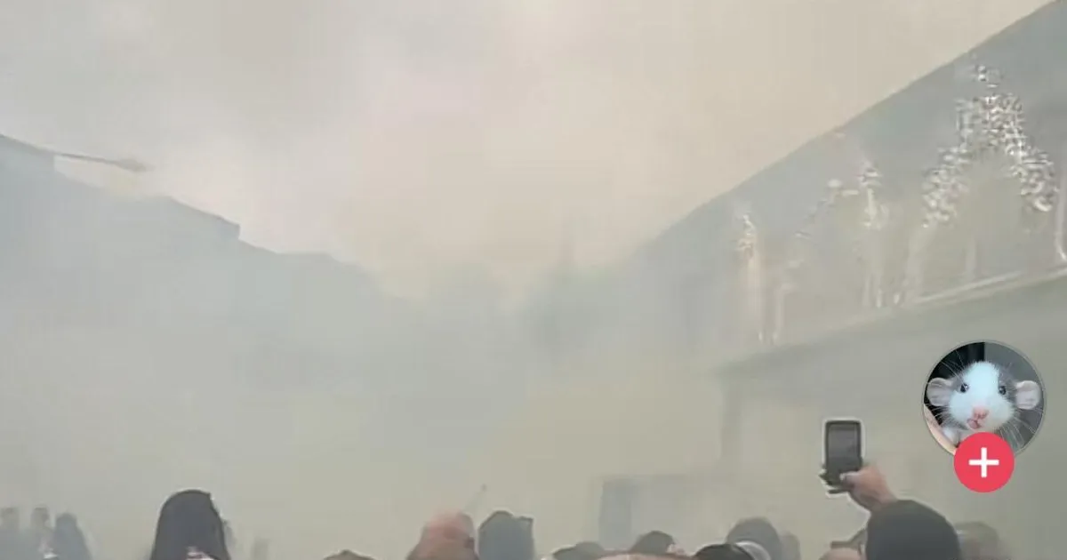 VIDEO ⟩ Köhivad lapsed ja tossu täis kooliesine: pürotehnika Tallinna gümnaasiumi aktusel tekitas korraliku suitsupilve