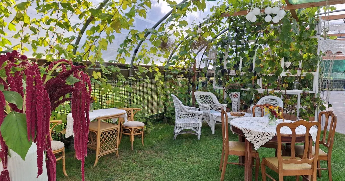 Põhja-Eesti triiphooned ja aiad ootavad pühapäeval külastajaid