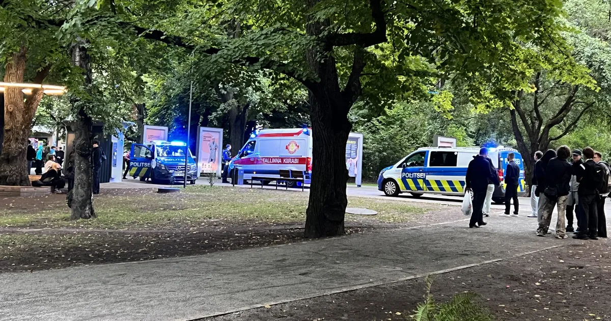 FOTO ⟩ Peks plastikpudeliga: noorte konflikt Tammsaare pargis nõudis politsei sekkumist