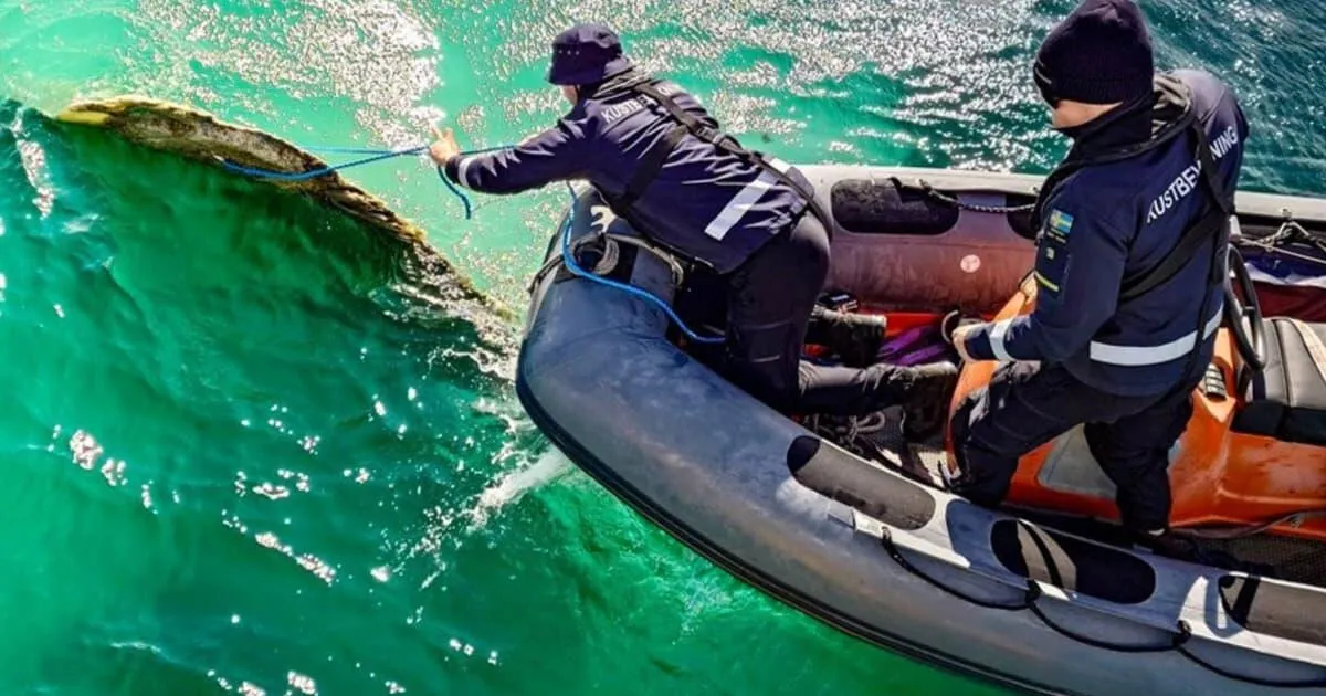 Rootsi rannavalve jahib UFOsid – sedapuhku püüti kinni see hiiglaslik «tegelane»