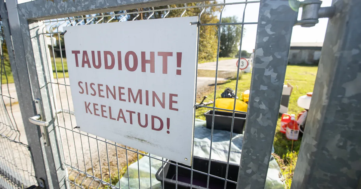 Lääne-Virumaal tuvastati seakatku surnud metssiga