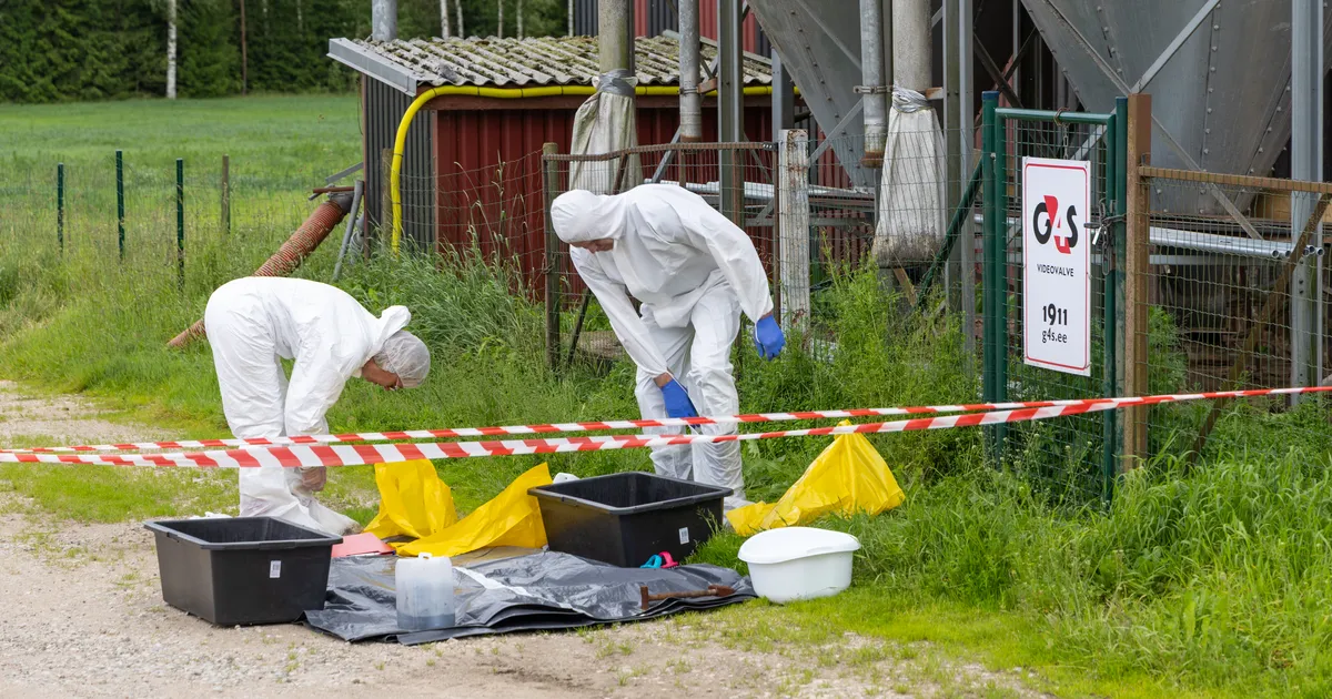 OTSEPILT JA -BLOGI ⟩ Kas seakatkupuhang näitab vaibumise märke? Riigi esindajad annavad ülevaate