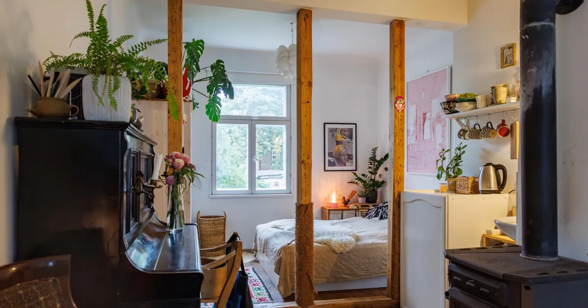 NÄDALA KODU ⟩ Kunstnik kunstigeeniga majast