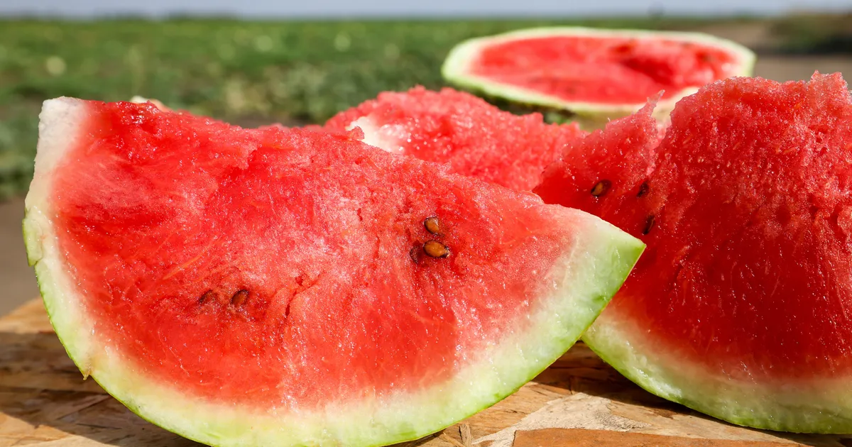 POEKLÕPS ⟩ Eesti kui arbuusimaa: Stockmannis leiab Pärnumaa perefirma kauba