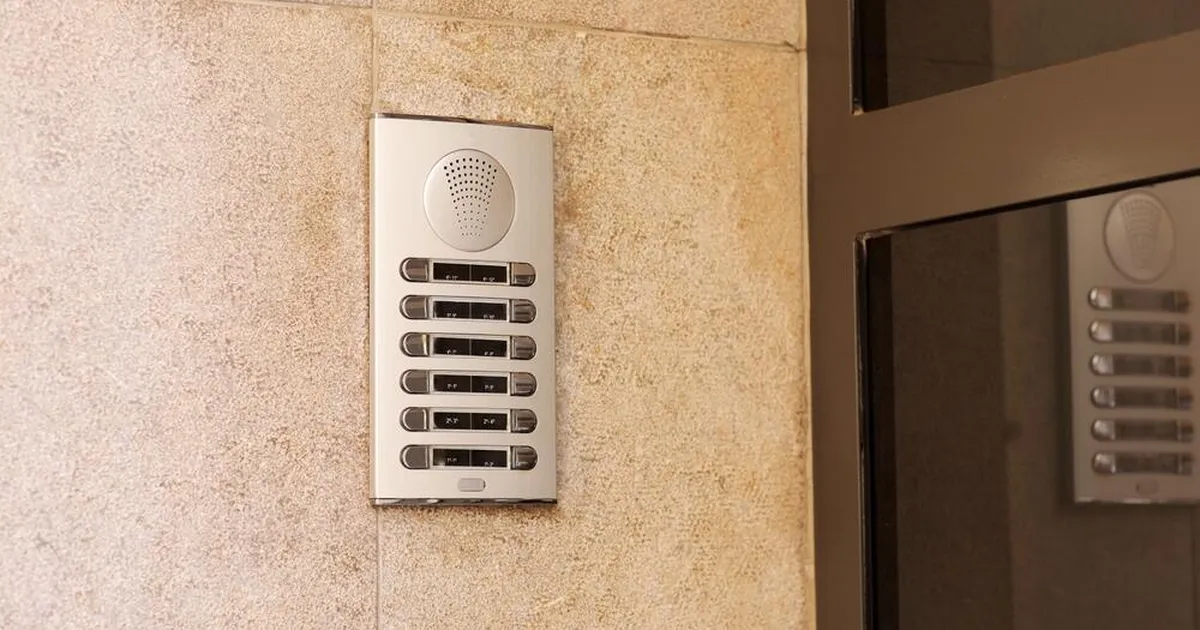 Perekonna öörahu rikkus üllatav tegelane: uksekell hakkas uuesti ja uuesti helisema