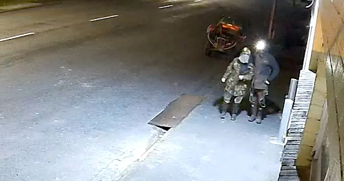 VIDEOD ⟩ Psühholoog: mitu aastat isaga metsas põgenenud lastel võib olla Stockholmi sündroom