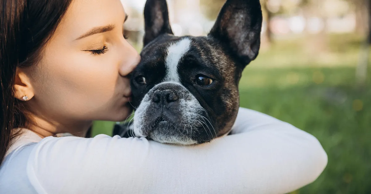 Uuringust selgus, kui paljud eestlased on oma lemmiklooma kindlustanud