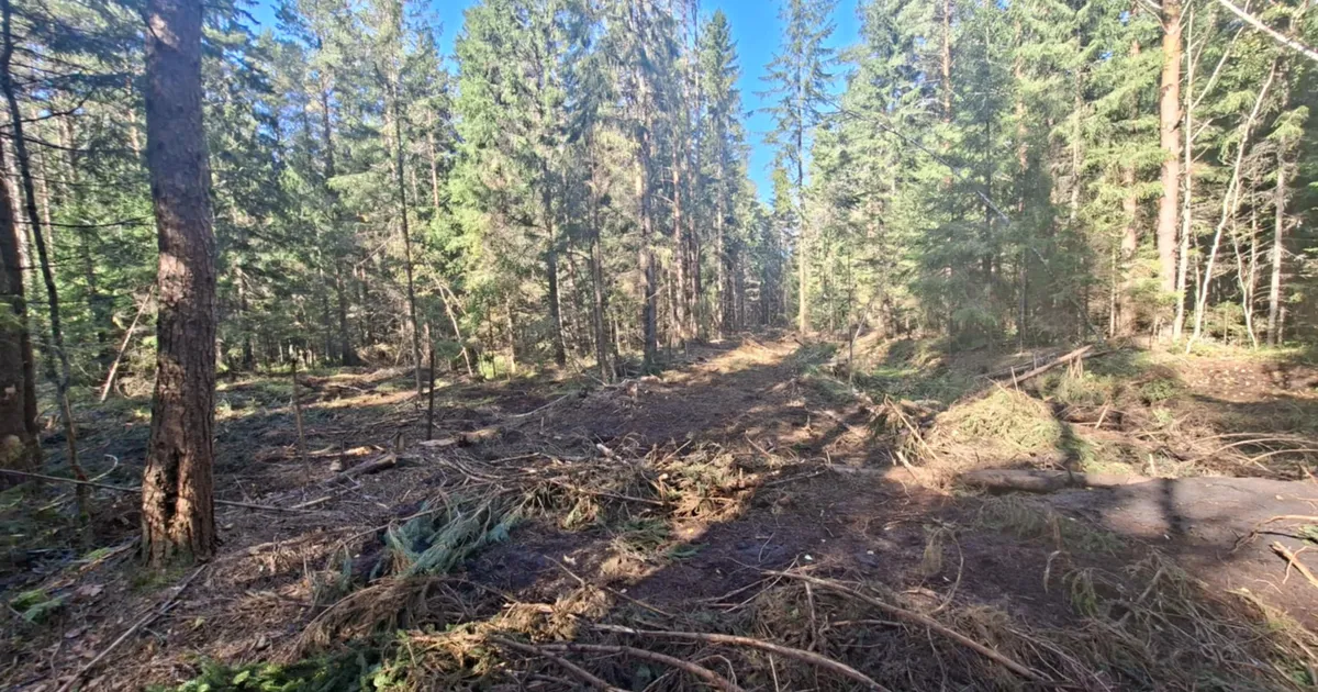 RMK lubab töö käigus kahjustada saanud pinnase korrastada