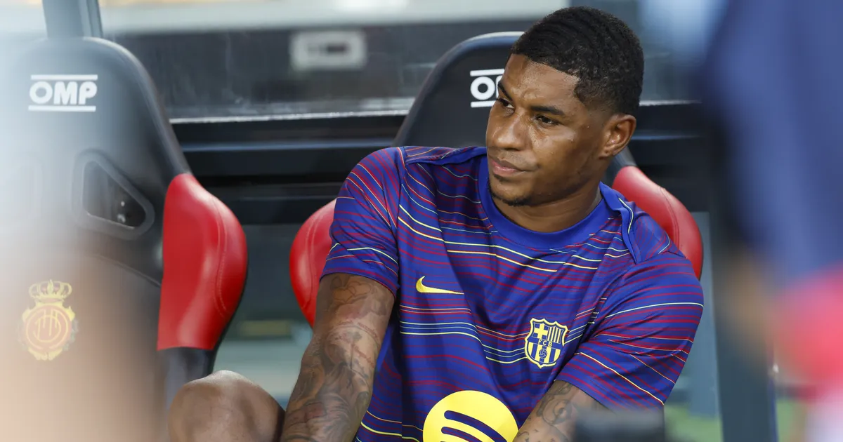 1,5-miljonilist kuupalka teeniv jalgpallur poodles Ikeas