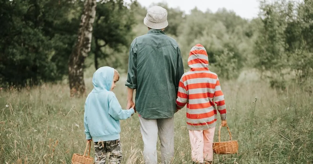 ÄMBER KAASA ⟩ Seeneekspress kutsub rongiga seenele