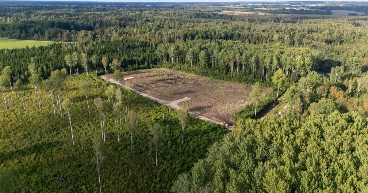 Riigiameti vastus võimaliku seakalmistu naabritele: kui tekib reostus, puurime uue kaevu