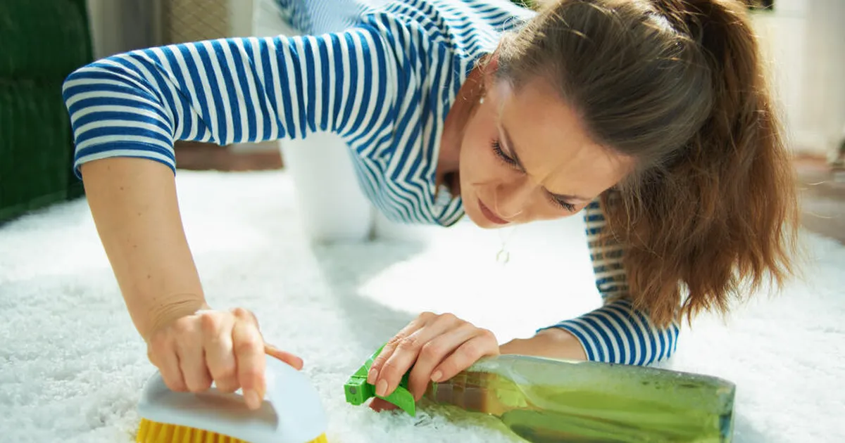 JÄTA POODI ⟩ Seda sorti vaipa on võimatu puhastada