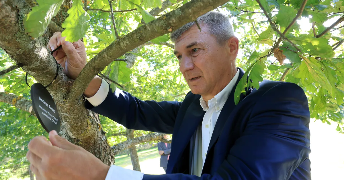 GALERII ⟩ Aukodanikud istutasid Tartu tammikusse uued puud, Andrus Ansip vahetas oksal vaid sildi