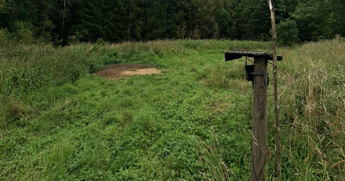 Jahimehed said metssigade keelatud söötmise eest menetluse kaela, kaamera võeti ära