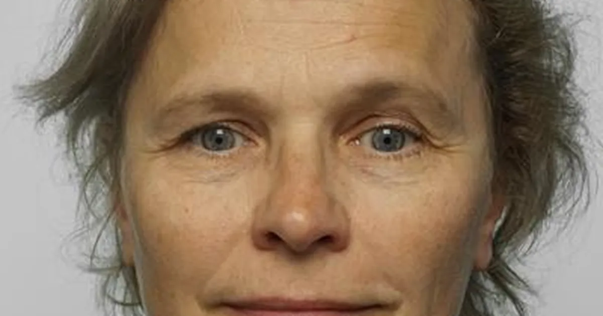 Politsei otsib Harku alevikus kadunud 61-aastast Marjut