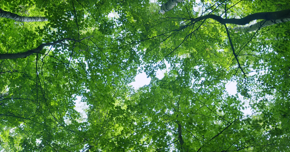 PÄEVAHOROSKOOP ⟩ 15. september: Kaksik tahab mõtteid ja tundeid kellegagi jagada, Jäär võib sõpradelt abi saada