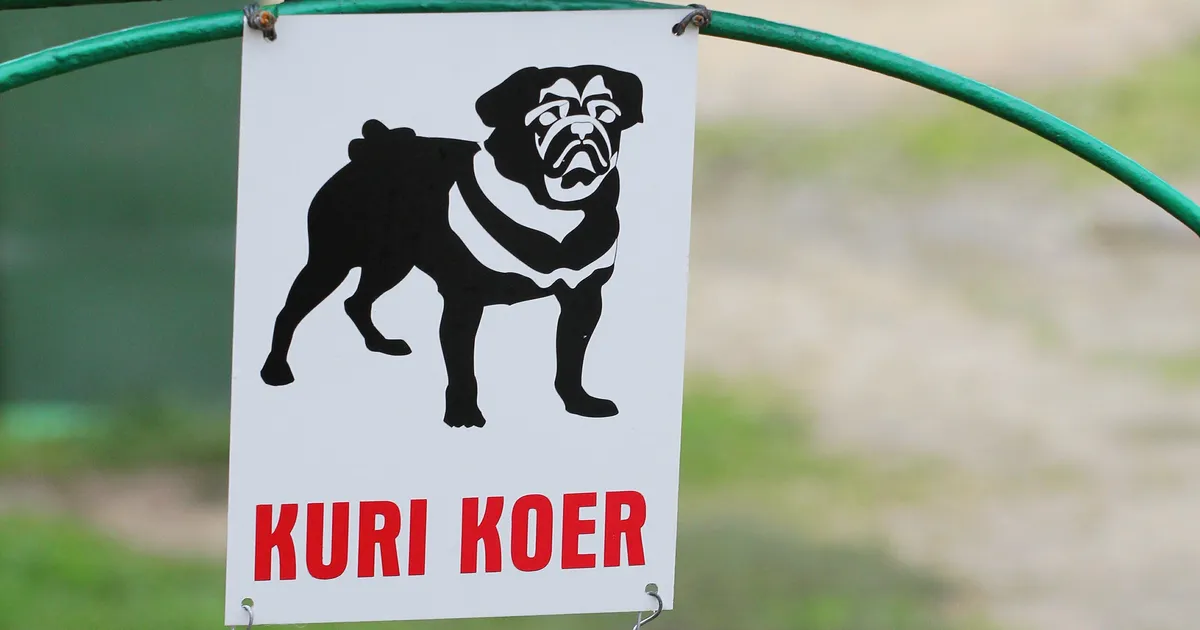 Kirde- ja Kagu-Eestis peaks lemmikloomad sel nädalal hoidma koduhoovis