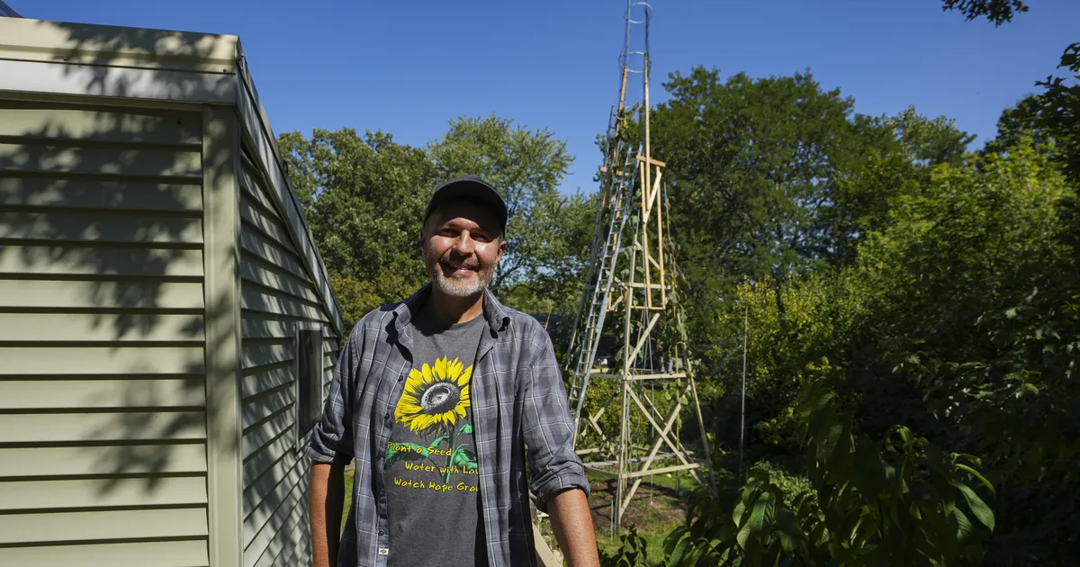 Mees kasvatas koduhoovis Ukraina auks maailma kõige kõrgema päevalille: eelmine rekord ületati poolteise meetriga