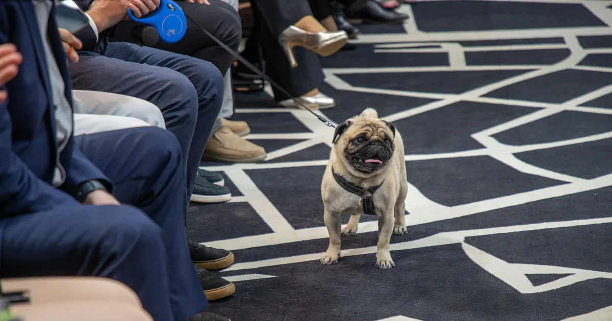 SUUR NIMEKIRI ⟩ Kohalikel valimistel kandideerib üle 9600 inimese