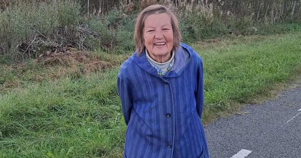 400 OTSIJAT ⟩ Kadunud 86-aastane Aita leiti Viru rabast hukkununa uute droonide abil