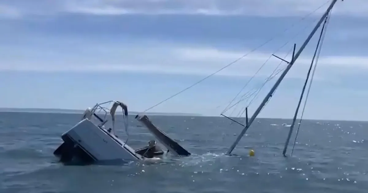 VIDEO ⟩ Mõõkvaalad uputasid Portugali rannikul kaks purjekat, päästeti üheksa inimest