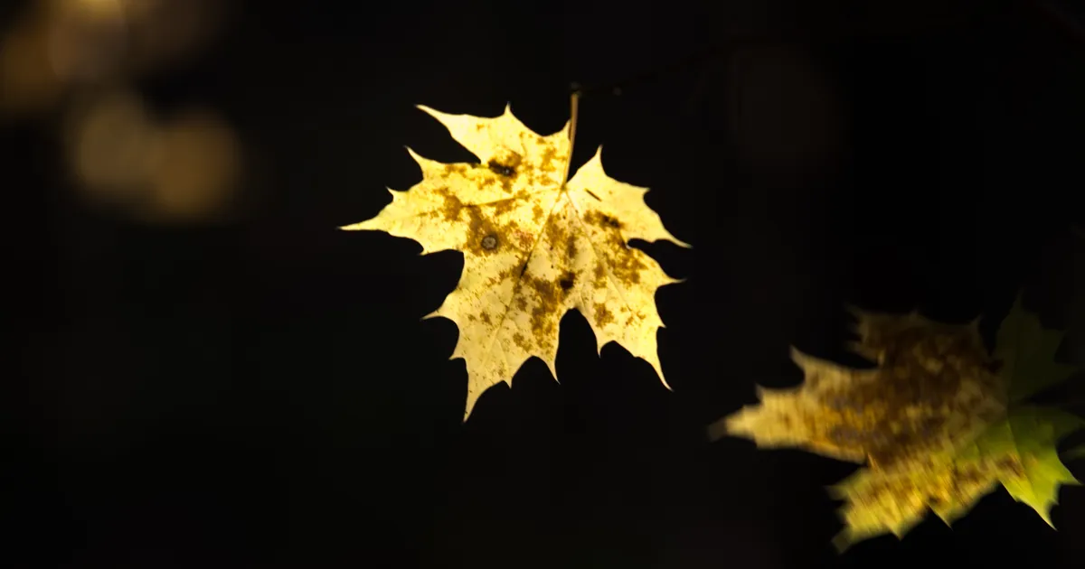 Kolmapäeval tuleb kuni 18 kraadi sooja