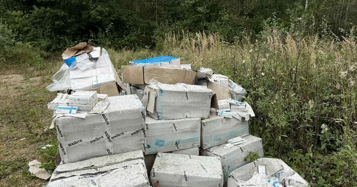 FOTO ⟩ Lääne-Harju valla metsa visati kümmekond kasti Covid-19 teste