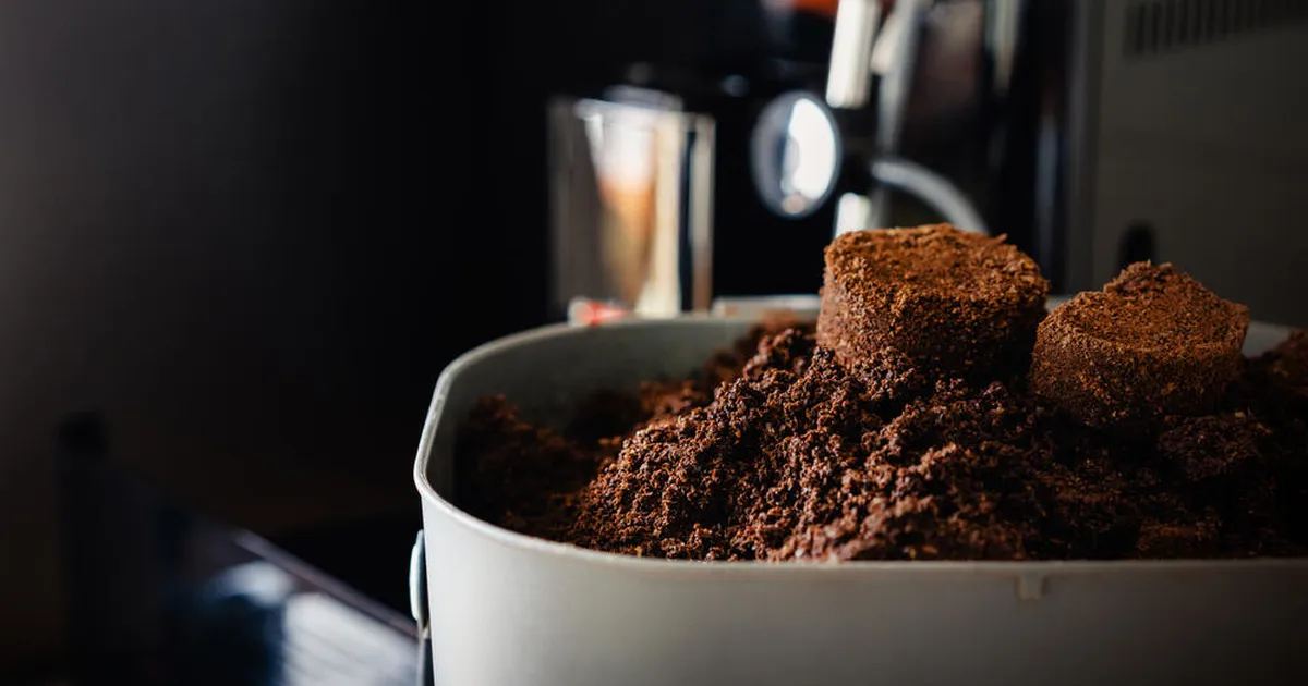 Kas jahvatatud kohviube saab kasutada rohkem kui korra?