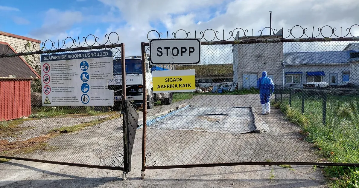 PILDID ⟩ Seakasvataja sulges katku tõttu päevapealt poe, kuid loobumismõtteid ei mõlguta