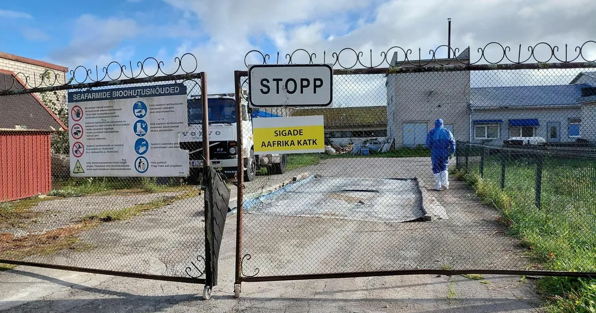 Paju sigalale kehtestati viibimiskeeld