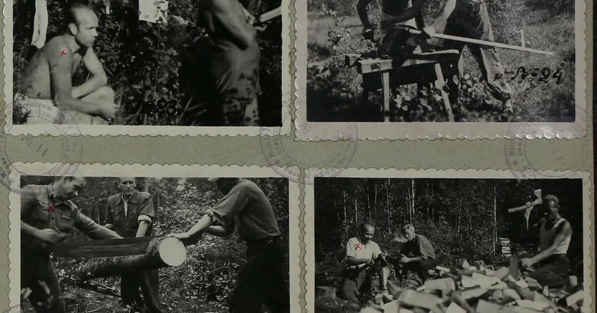 AJALUGU ⟩ Vastupanuvõitluse päev​: kes olid metsavendade abistajad?